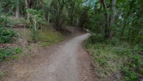 Walking Through - Mouth of the Bosque