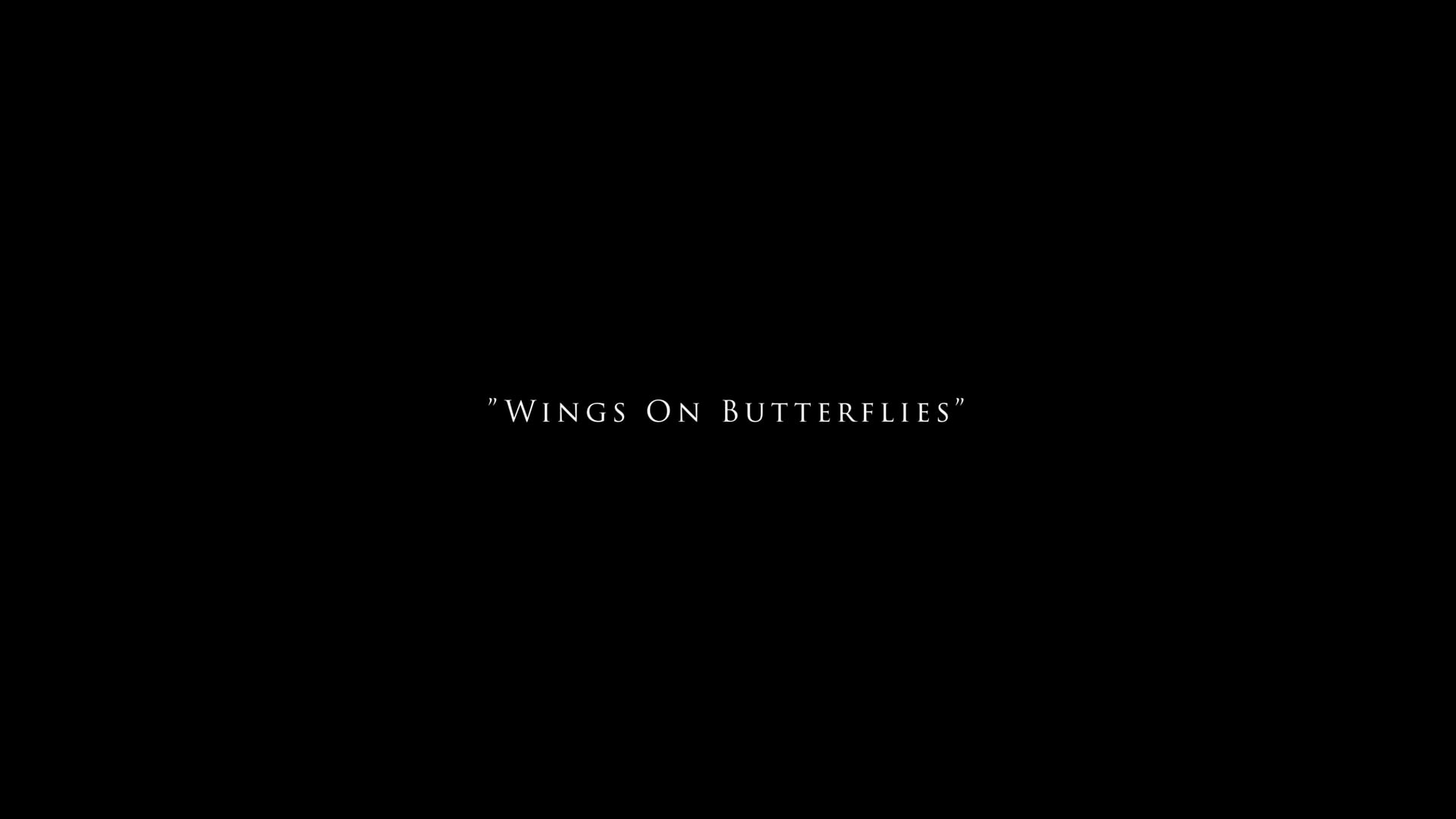 Wings On Butterflies