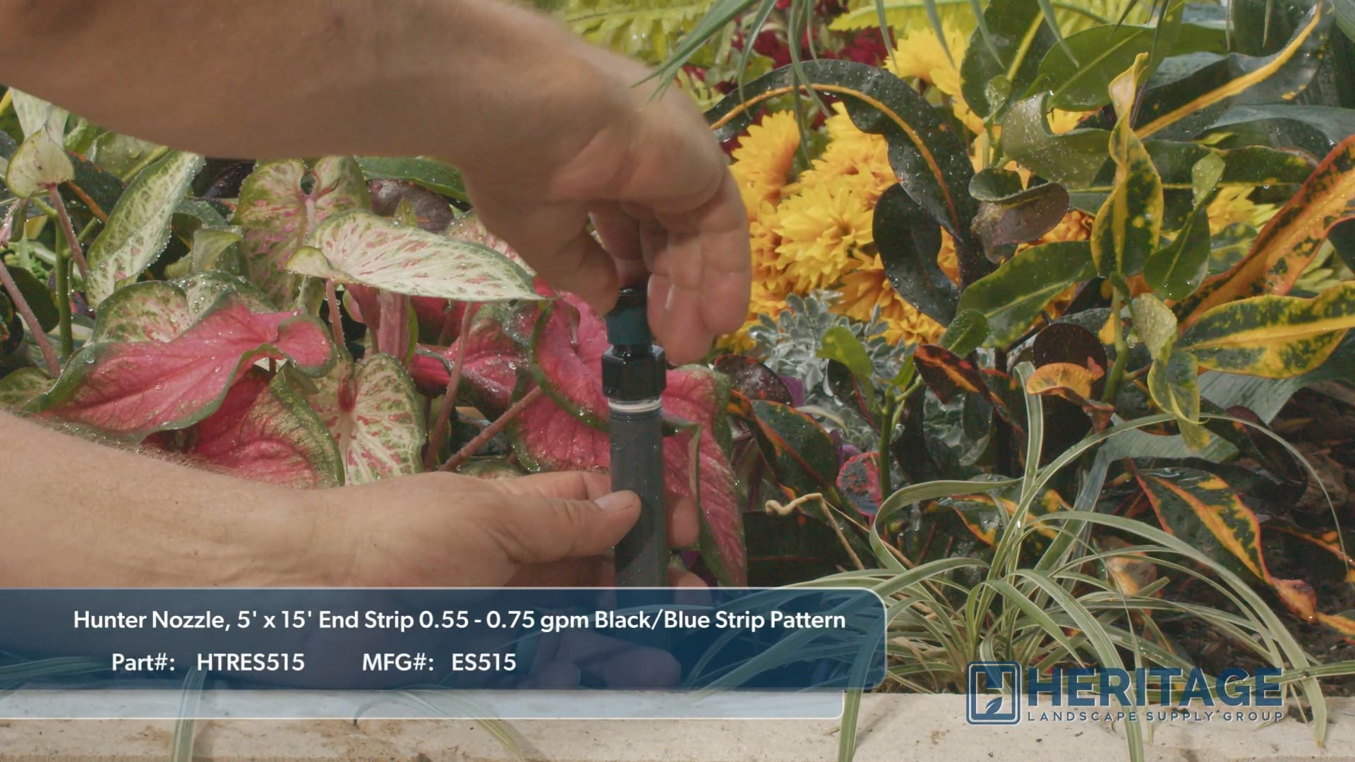 Hunter Nozzle, 5' x 15' End Strip 0.55 0.75 gpm Black/Blue Strip