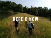 Video Nature Here & Now 22.06.22