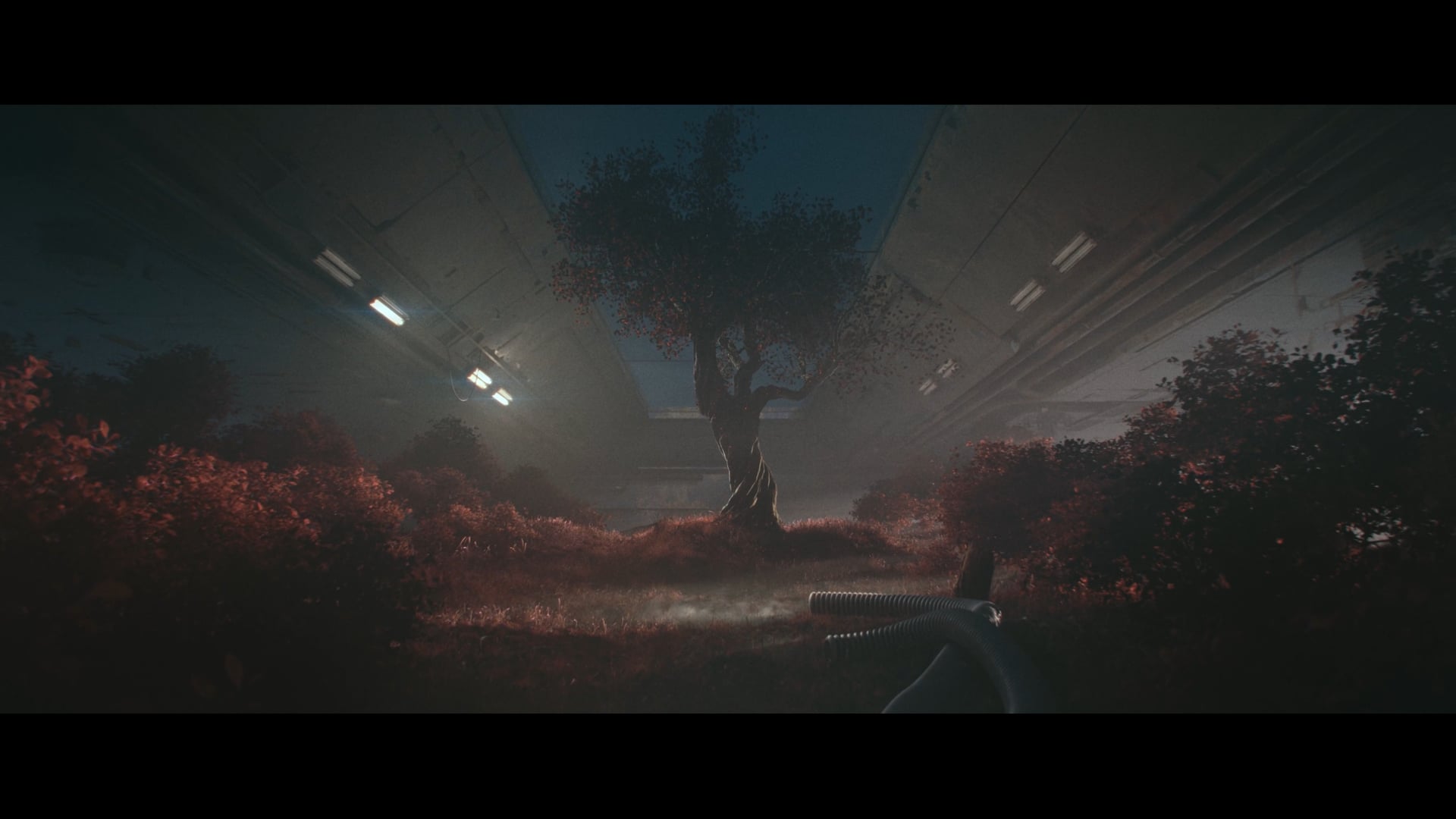 Revenant | Iron Sail