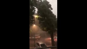 Forte vento a Cremona, albero cade su un'auto in transito