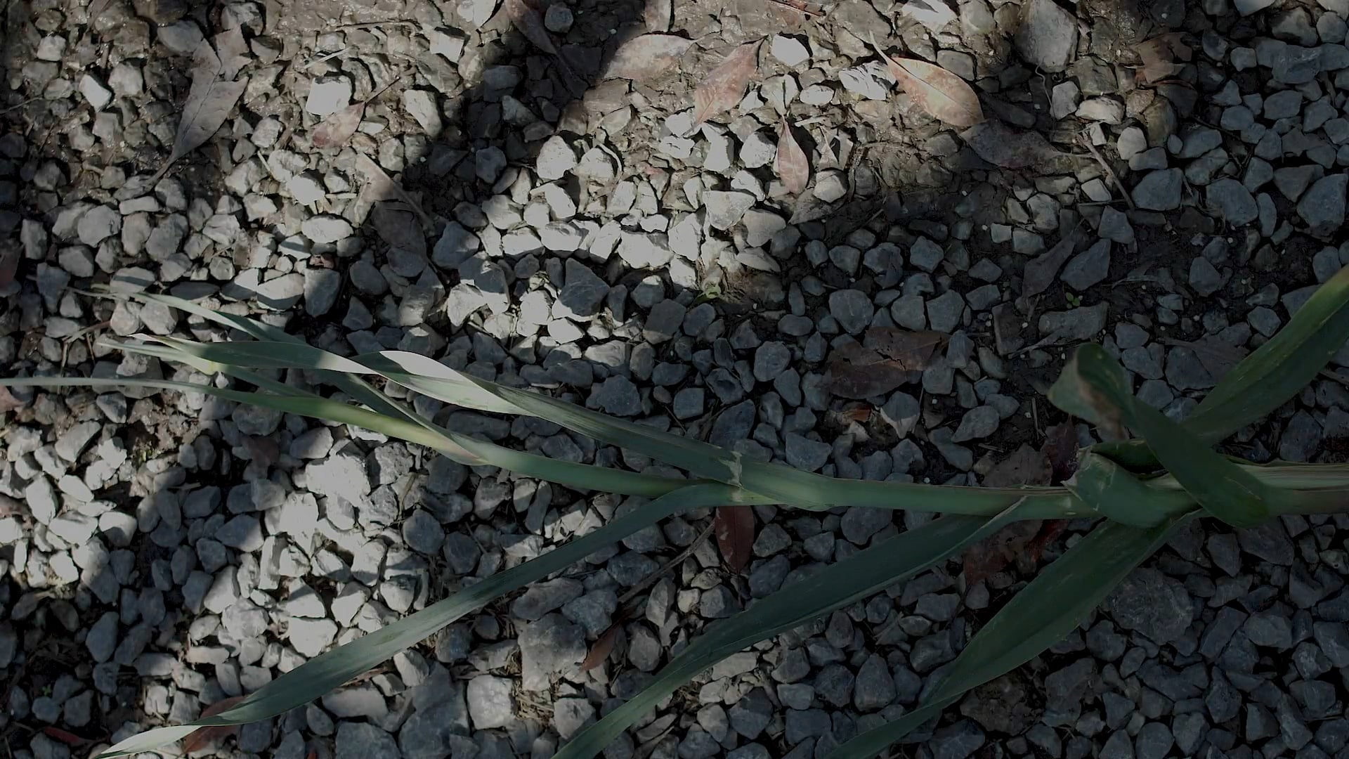 İlayda Alişan x Re Touch Mag