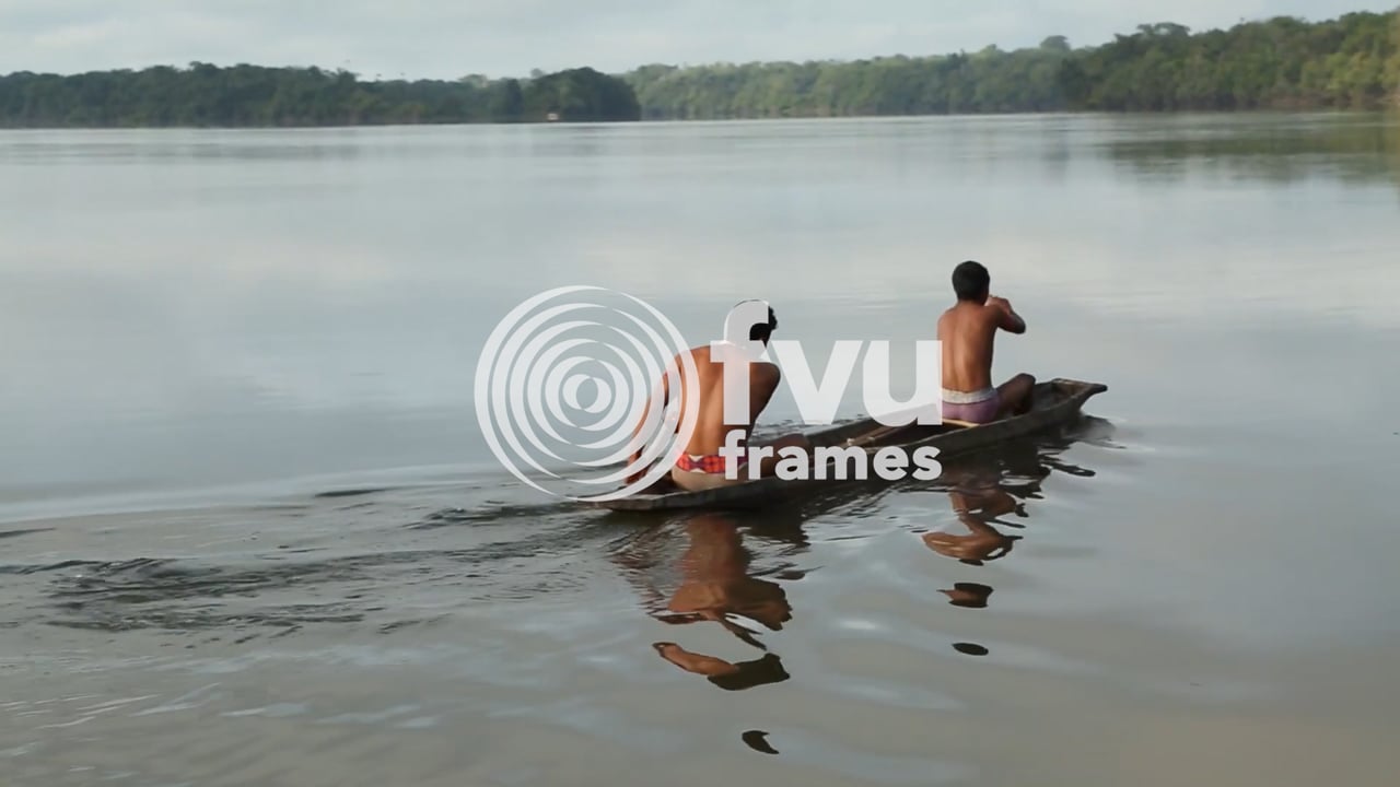 FVU Frames: Ruth Maclennan, Treeline (2021)