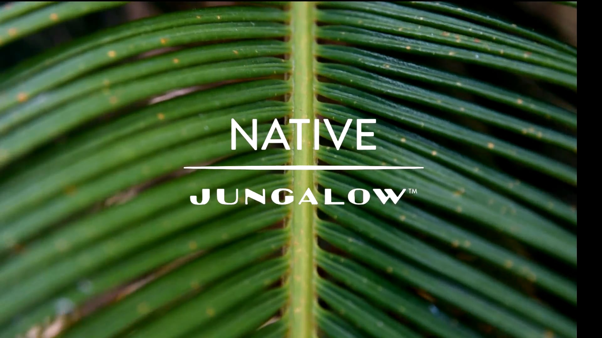 NATIVE