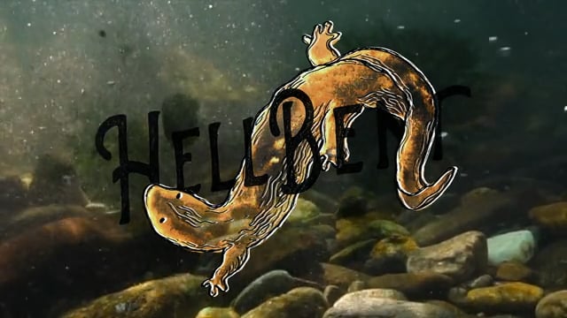 Hellbent Trailer