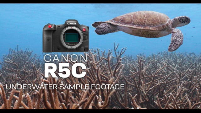Canon R5C - by Joel Penner