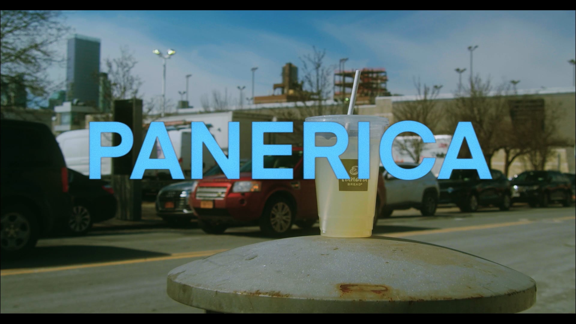 Panerica
