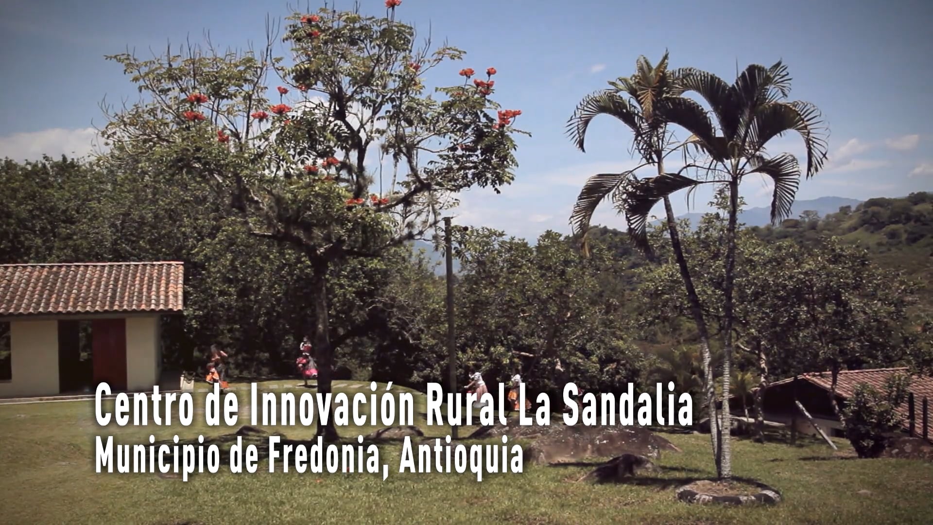 Proyecto La Sandalia