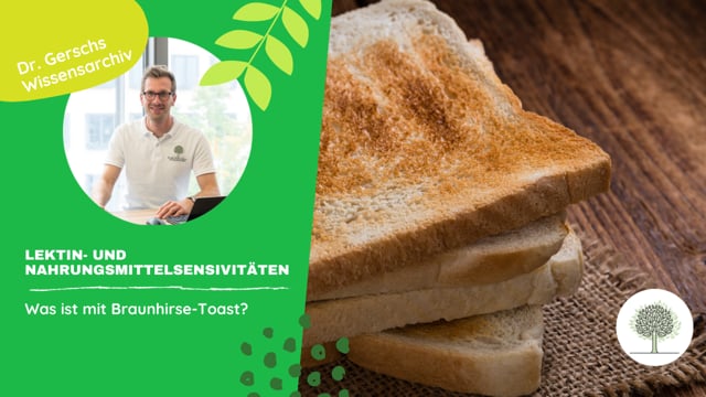 Ist Braunhirse-Toast lektinfrei?