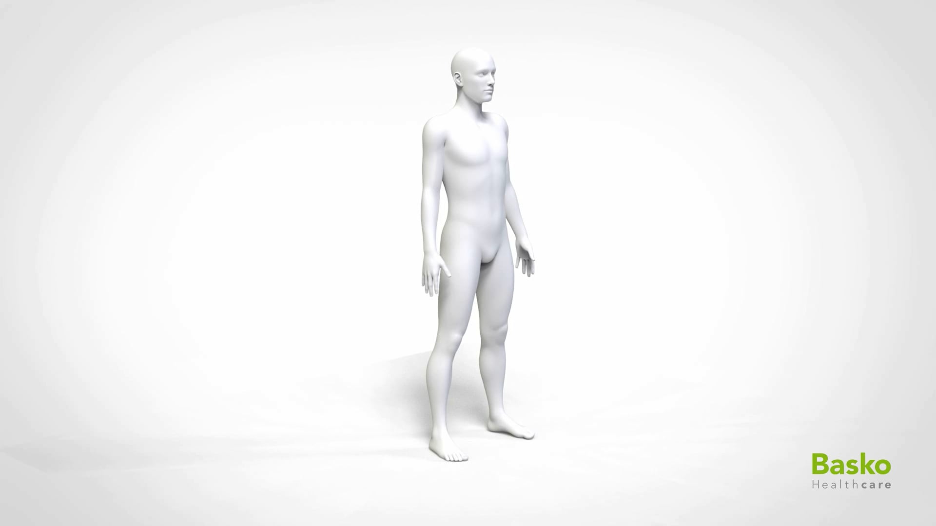 MultiMotion -  Actine Myosine