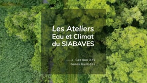 Les ateliers eau & climat du Siabaves #2
