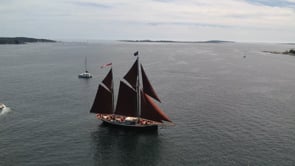 WJD 2022 Parade of Sail