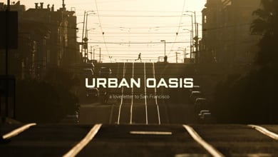 Urban Oasis - a love letter to San Francisco - Trails