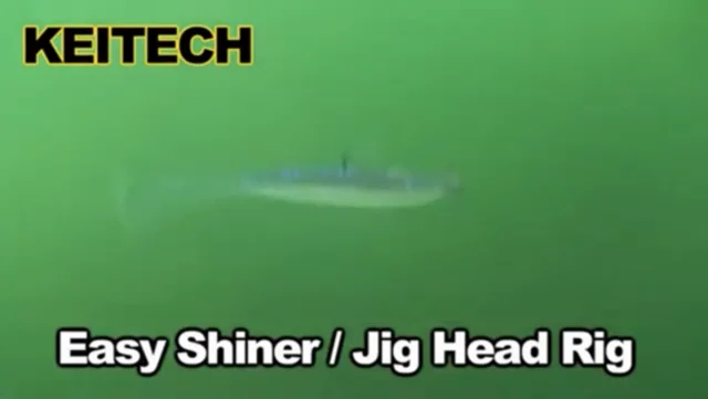Keitech Easy Shiner 8 inch Large Soft Paddle Tail Swimbait
