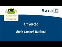 Sección 4. Ternera campeona