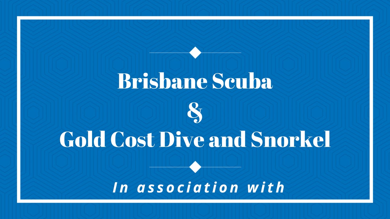 Brisbane Scuba Video Gallery Brisbane Scuba Dive Trips & Scuba