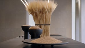 Convivium - Up&Down system