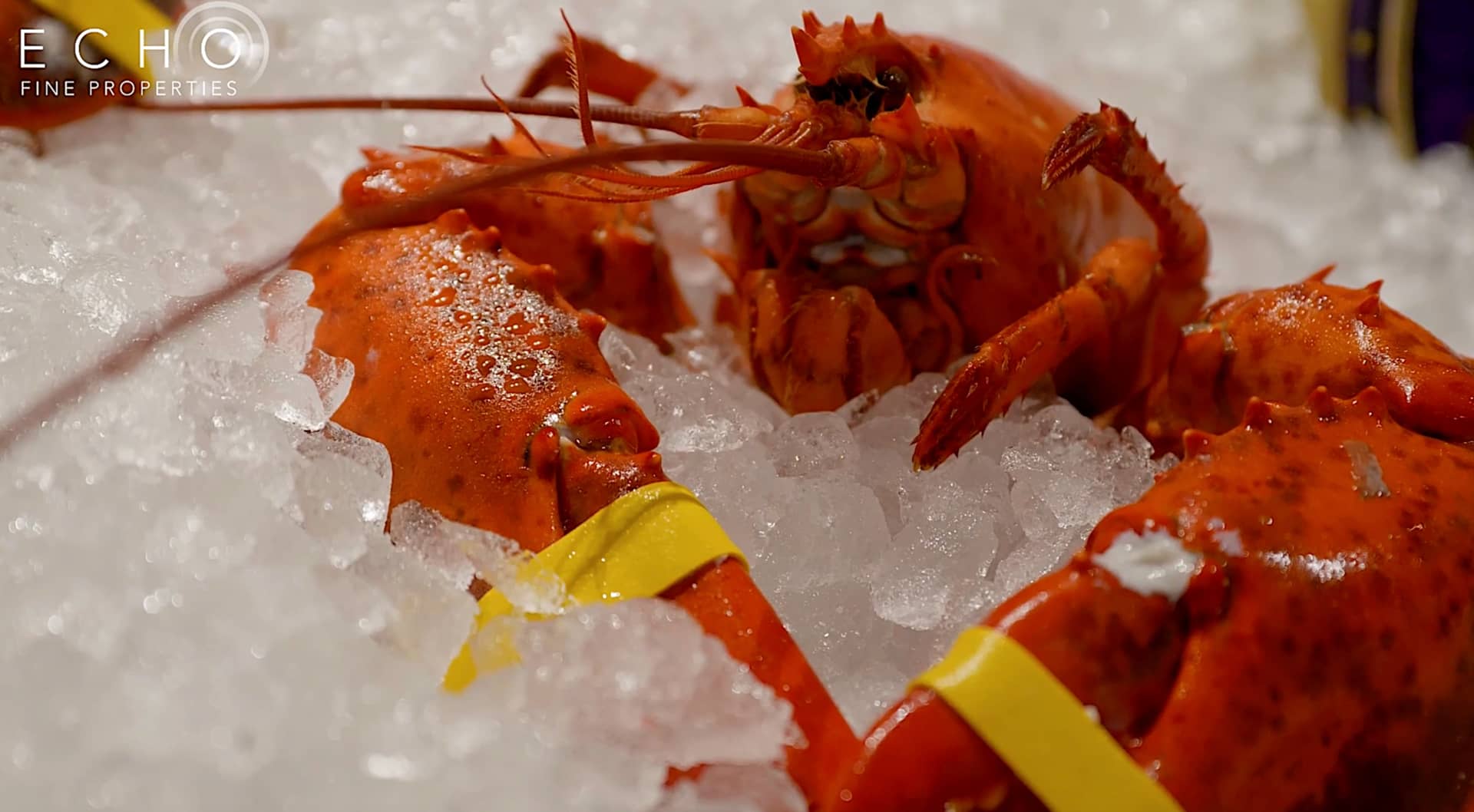 Deb's Dine & Dash Lobster Bar Sea Grille on Vimeo