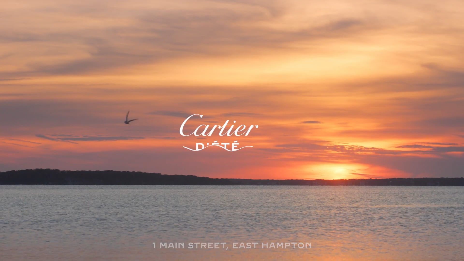 Cartier Hamptons Boutique