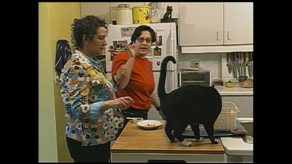 Housesitter, The