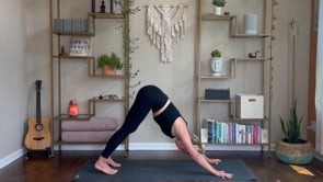 Related Embedded Video Item Thumbnail