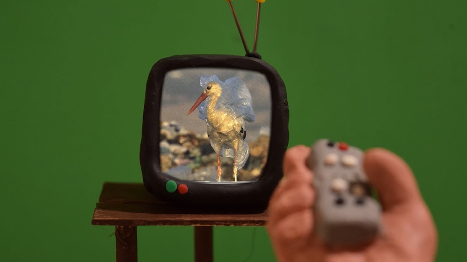 Open video