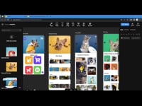 General  Pets shop UI