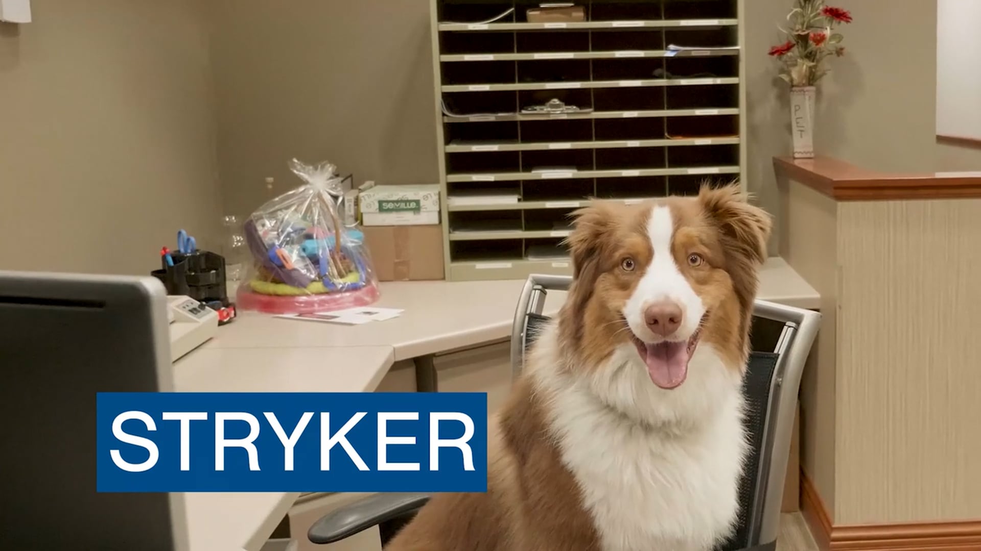 Coastal Pet Products, Inc.