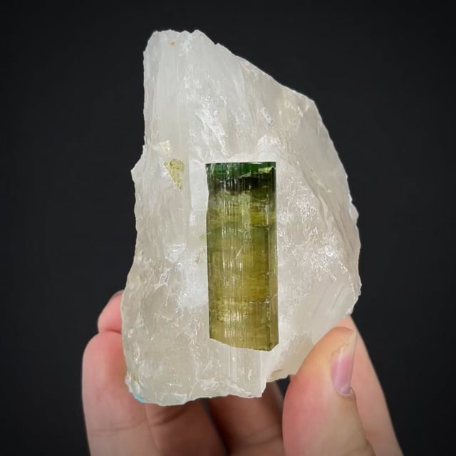 Tourmaline on Quartz (Hunt Coll.)