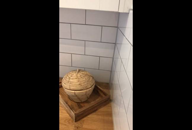 Video 1: