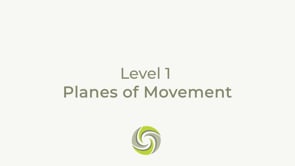 Planes of Movement