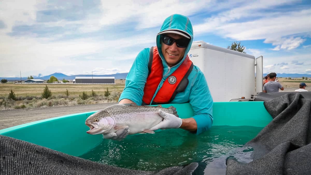 Testing Passage of Adult Rainbow Trout Through Natel's FishSafe