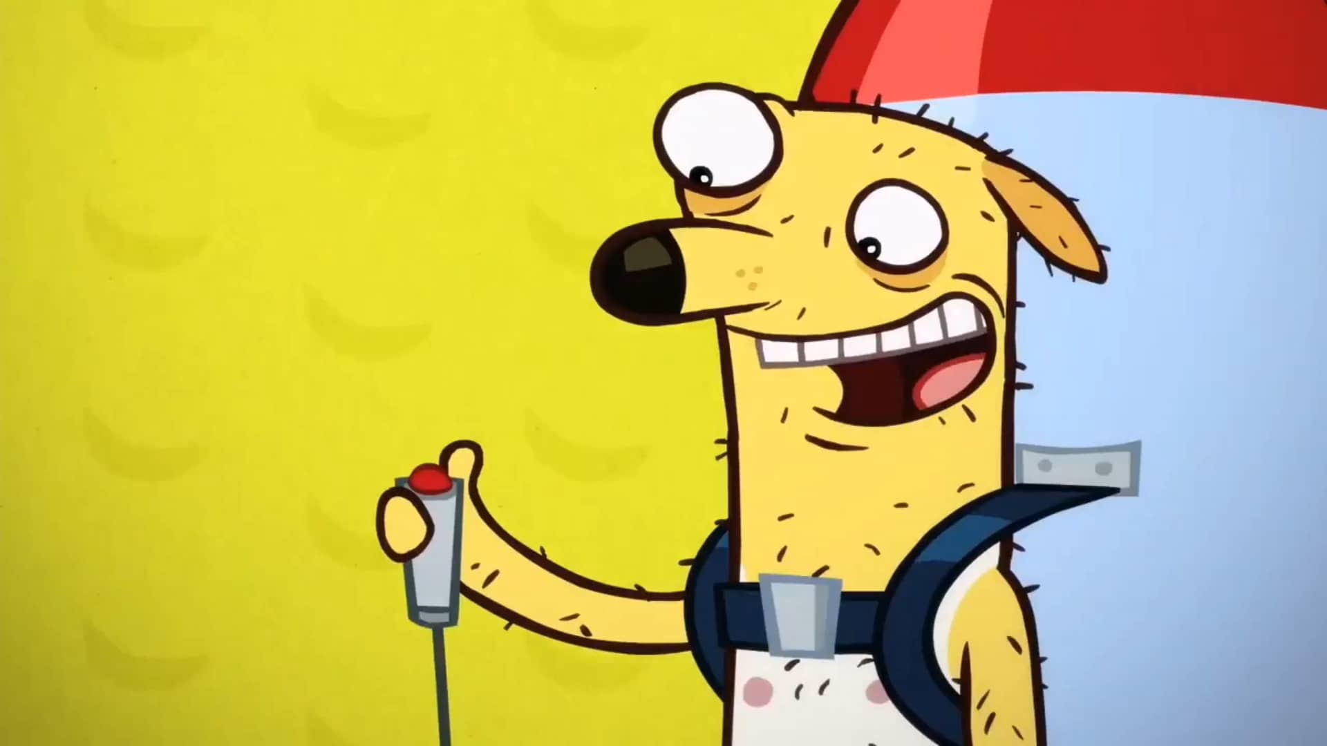 Almost naked animals intro on Vimeo