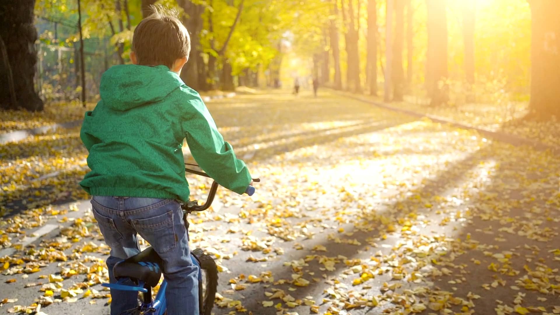 Nelsonville Ohio ROOT ZeroIn Cognitive Health Mental Acuity, 79