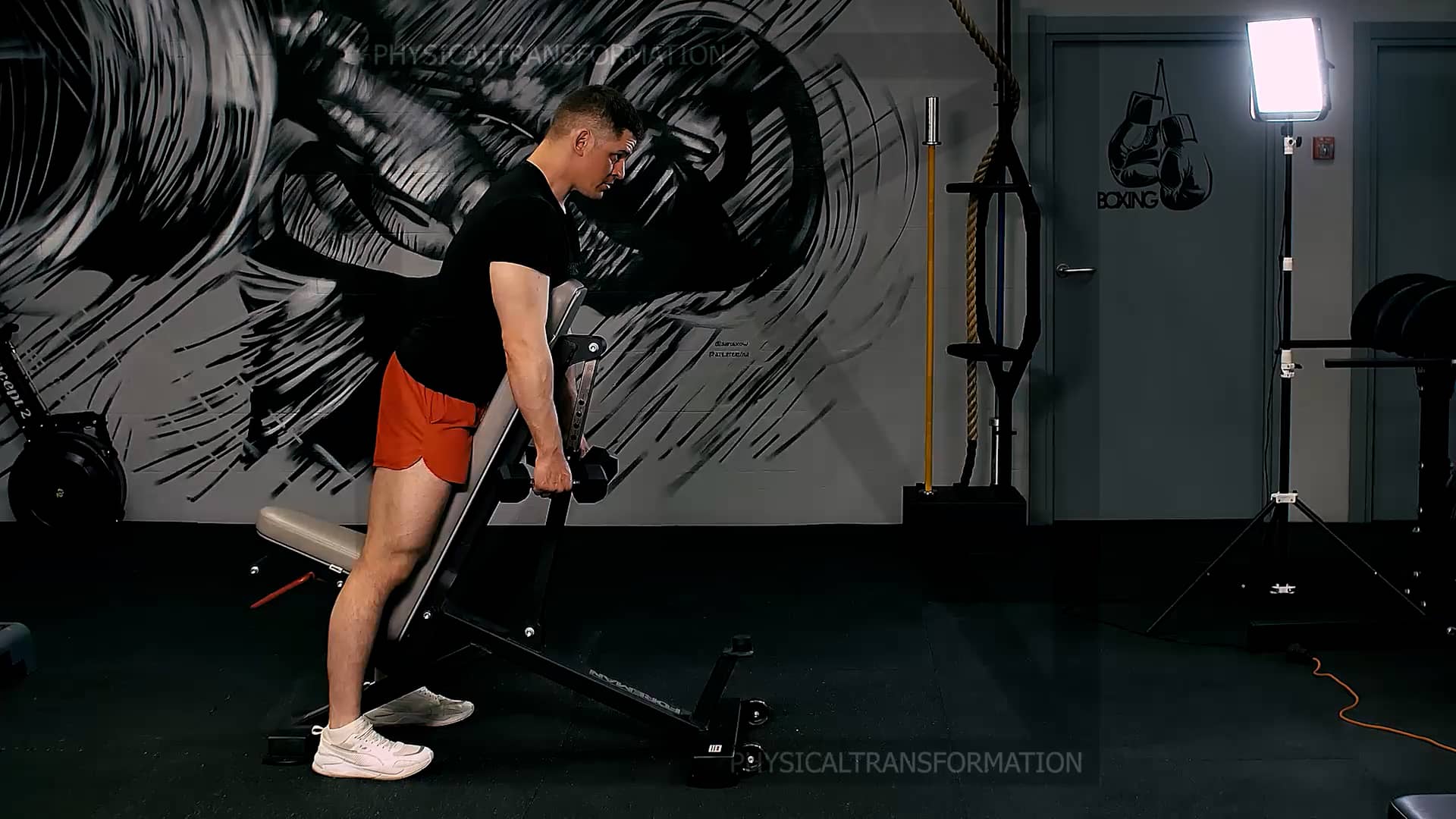 196Dumbbell Chest Supported Lateral Raise (Подъемы рук через стороны с