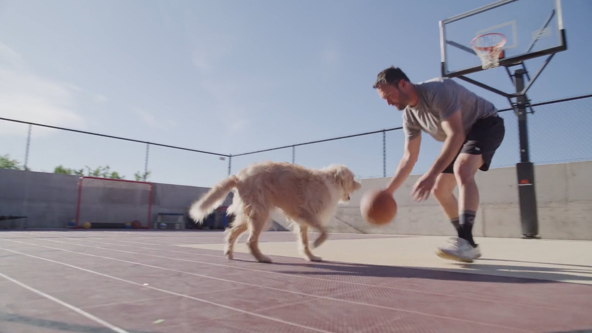 Hills_Ollie_Option2.mp4