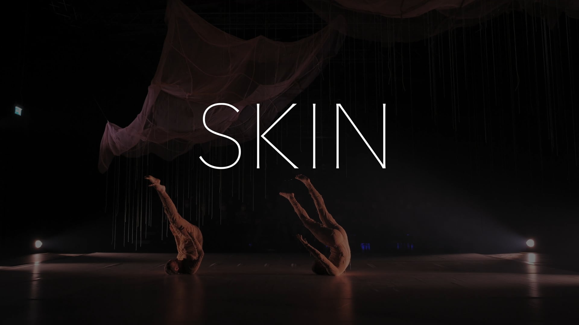 SKIN Trailer