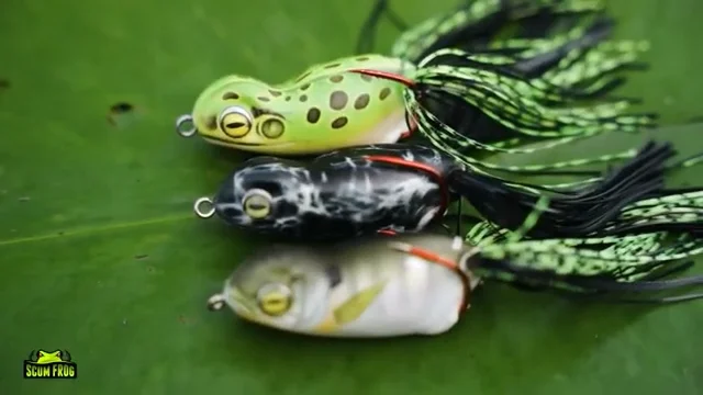 bama frog fishing lures Savage Gear Hard Shrimp R walks across the surface in a classic Spook walk Scum Frog - Lineup Scum