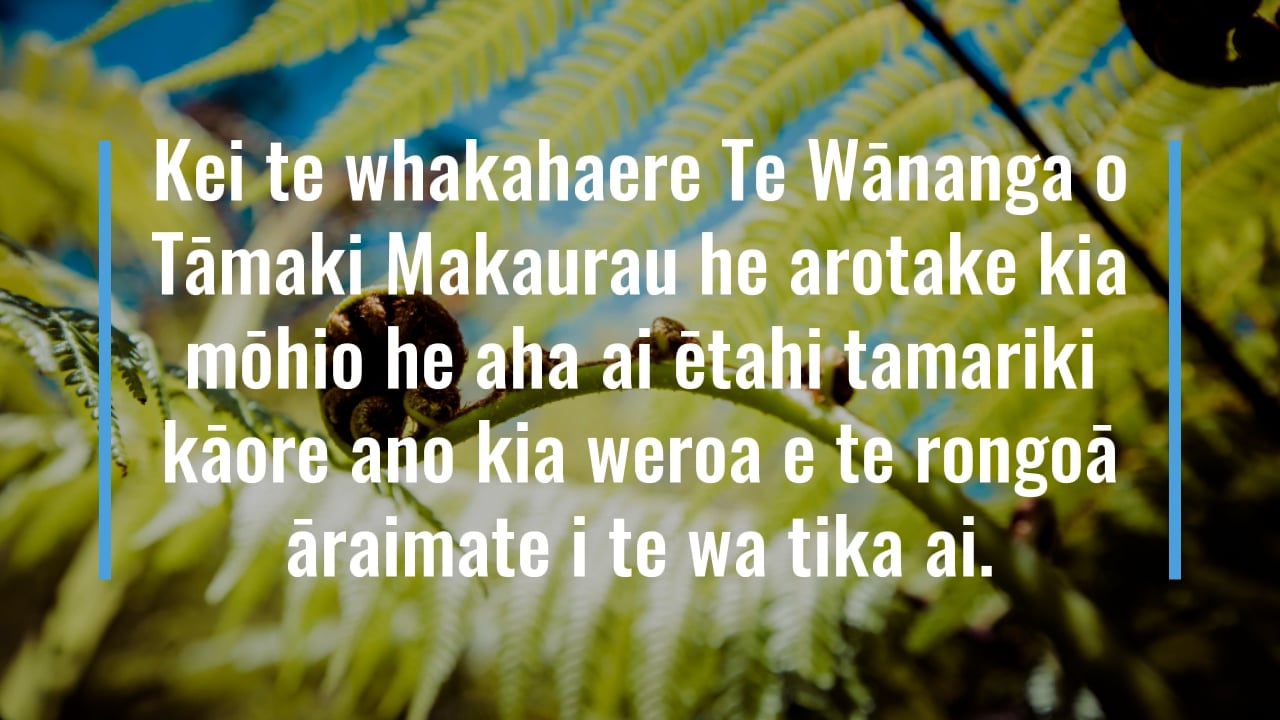 Maori Version Whanau_Views_on_Accessing_Immunisation.mp4 on Vimeo