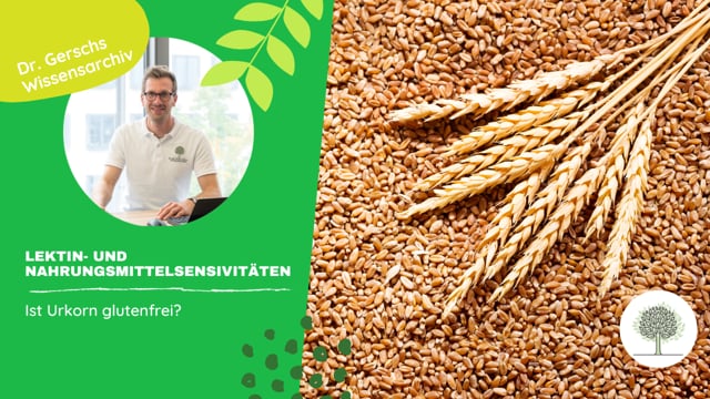 Ist Urkorn glutenfrei?