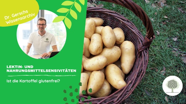 Ist die Kartoffel glutenfrei?