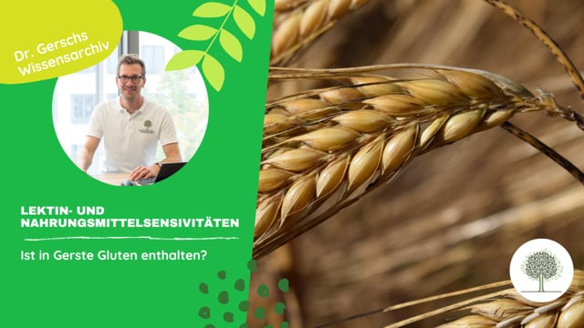 Ist in Gerste Gluten enthalten?