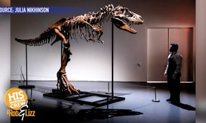 10 Mill for a T Rex Skeleton