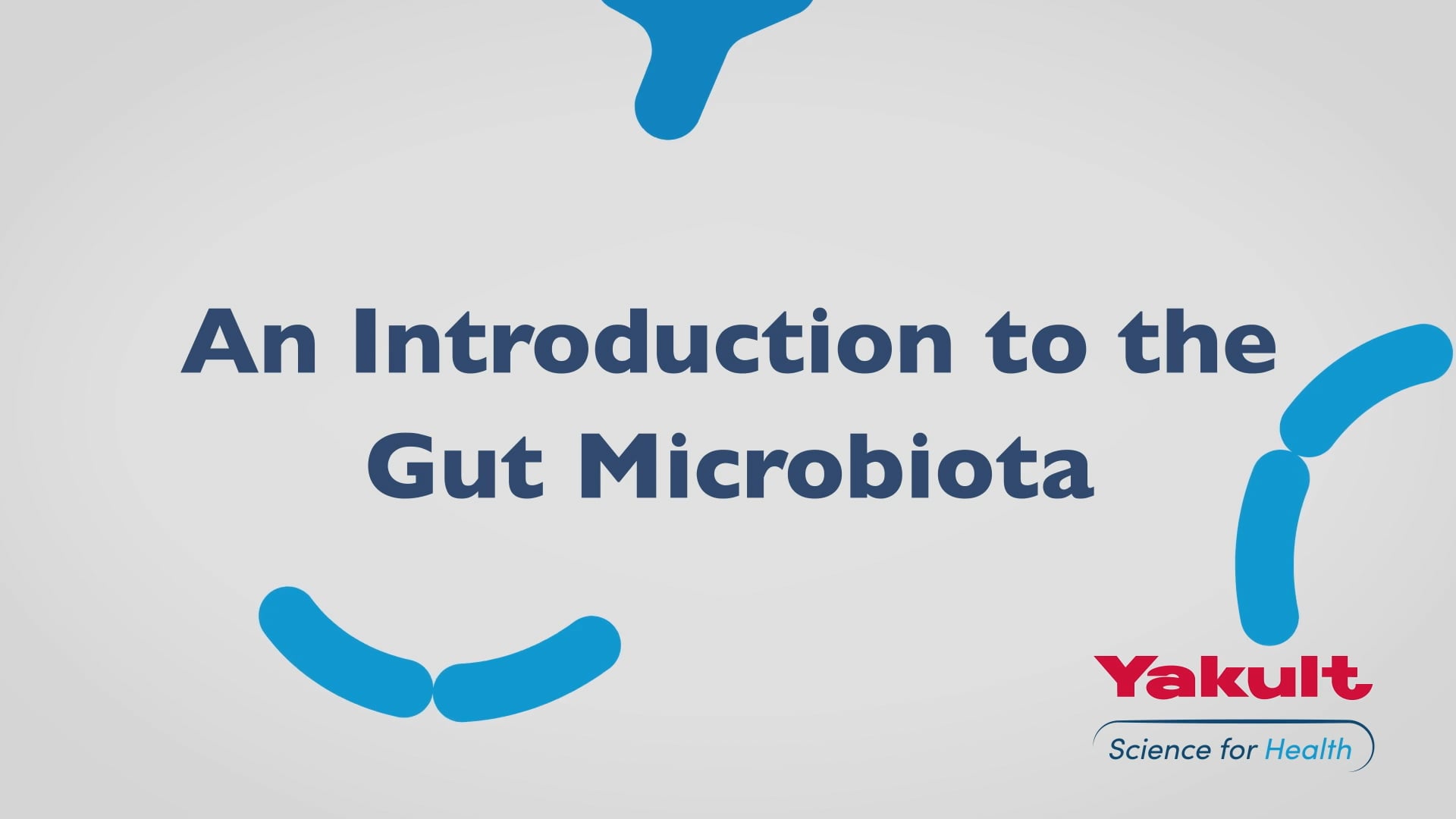 Yakult An Introduction to the Gut Microbiota on Vimeo