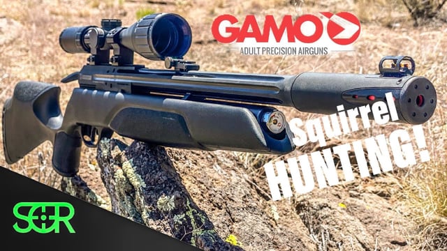 Gamo Arrow .22 Squirrel Hunting! Let’s Smack These Pests! - Airgun101