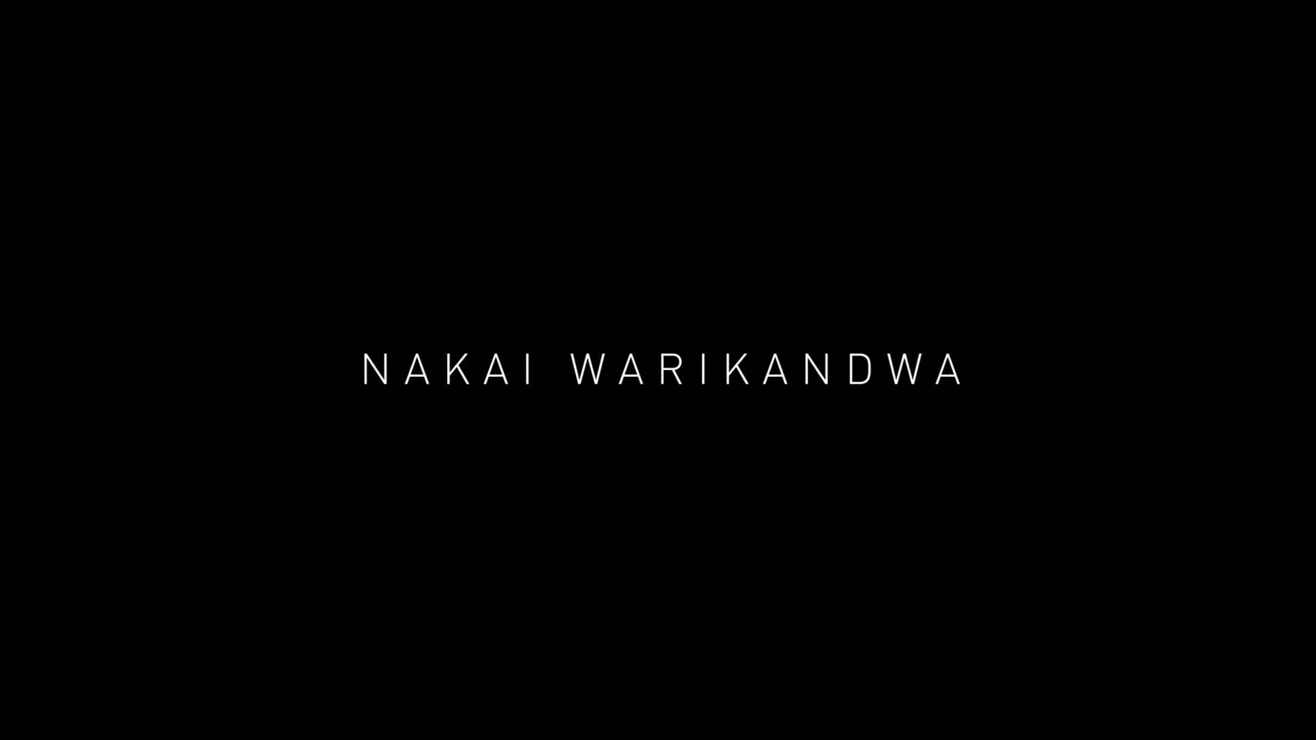 Nakai Warikandwa - Dance Showreel - I.N.C Artists on Vimeo