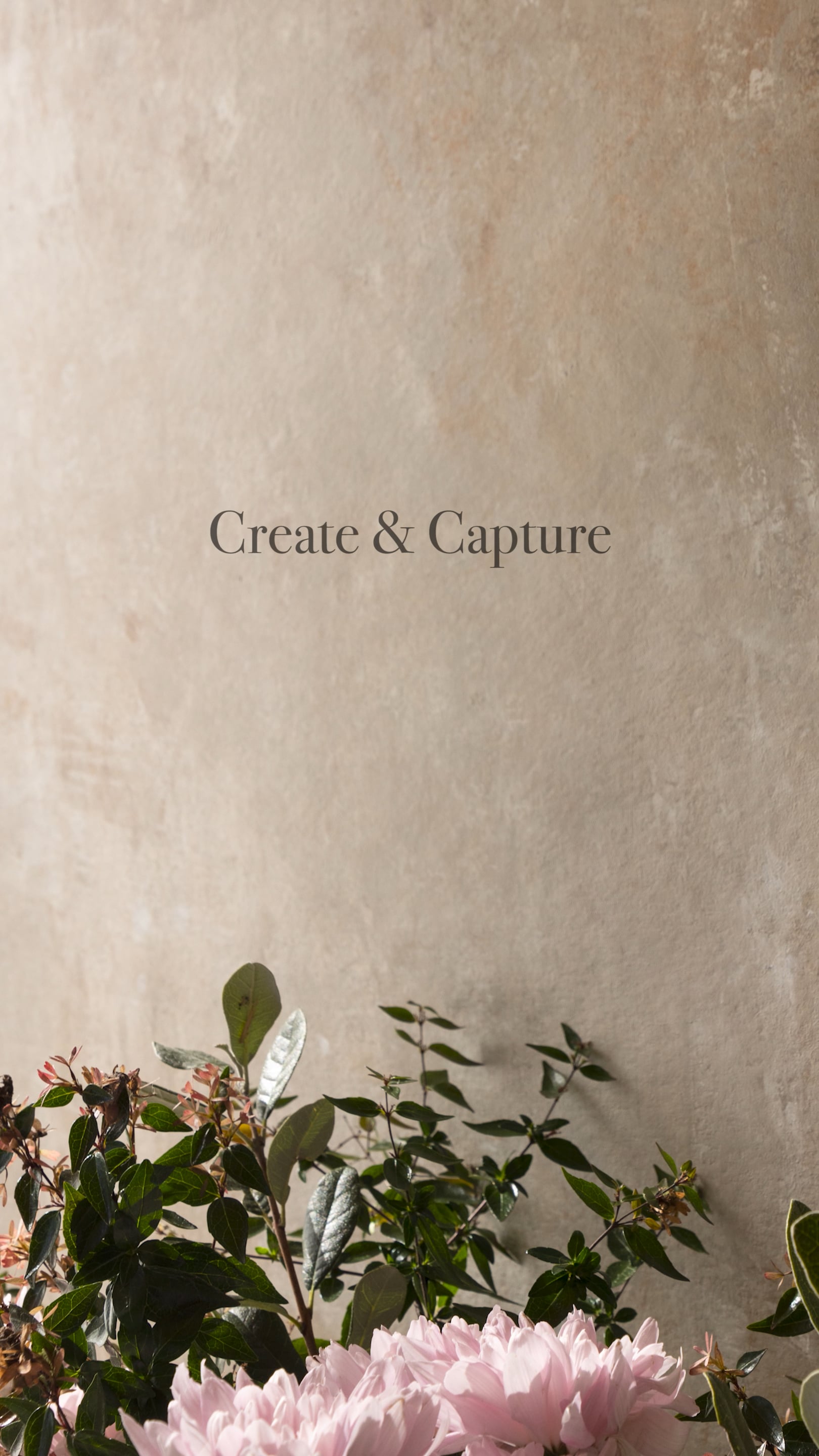 FlowerPhotographyWorkshop.mp4 on Vimeo