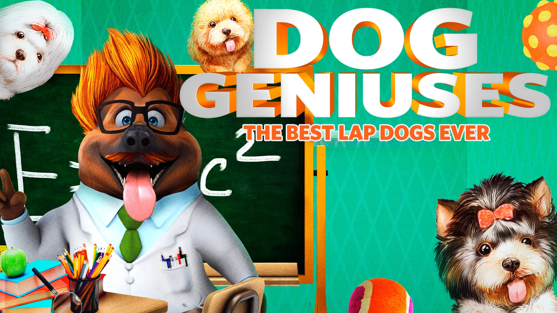 Watch Dog Geniuses The Best Lap Dogs Ever Online Vimeo On Demand on