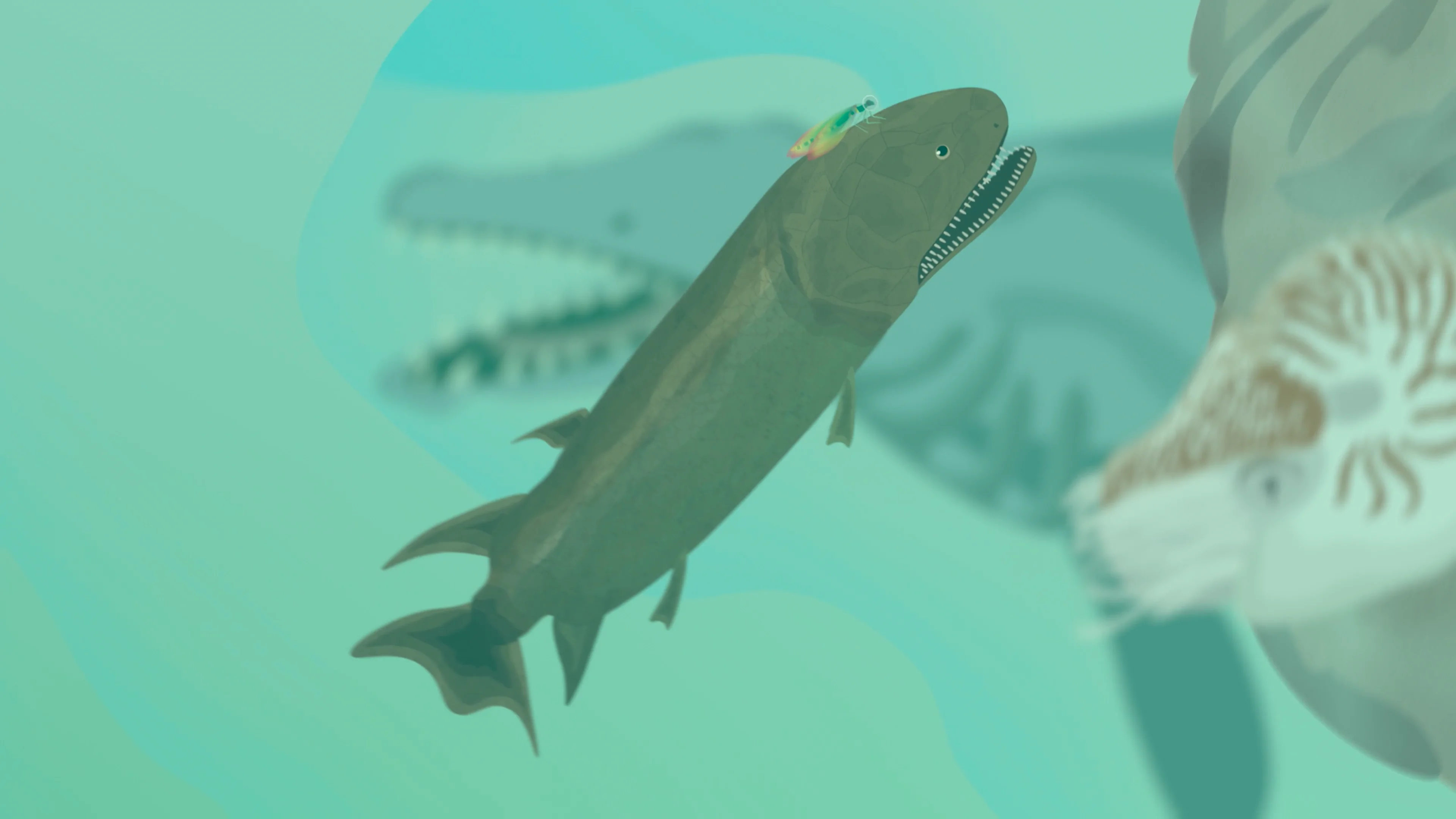 FILM & MOTION DESIGN Museum der Natur Hamburg Imagefilm on Vimeo